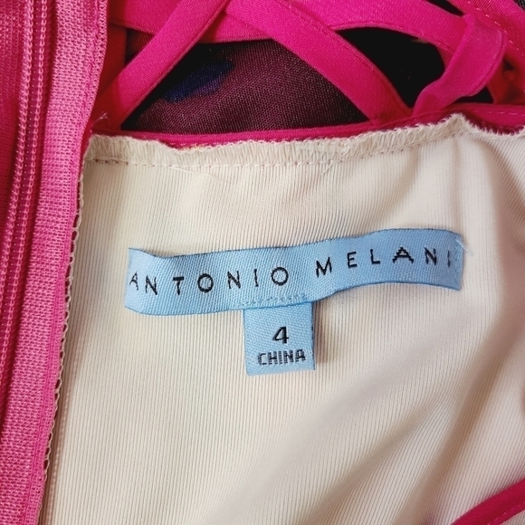 Antonio Melani Pretty Dress - Picture 10 of 10